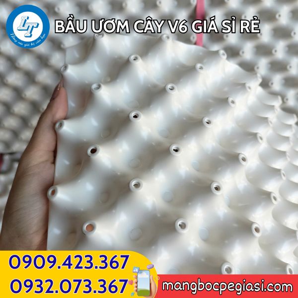 Bầu ươm cây V6 có màu trắng Bầu ươm cây V6
