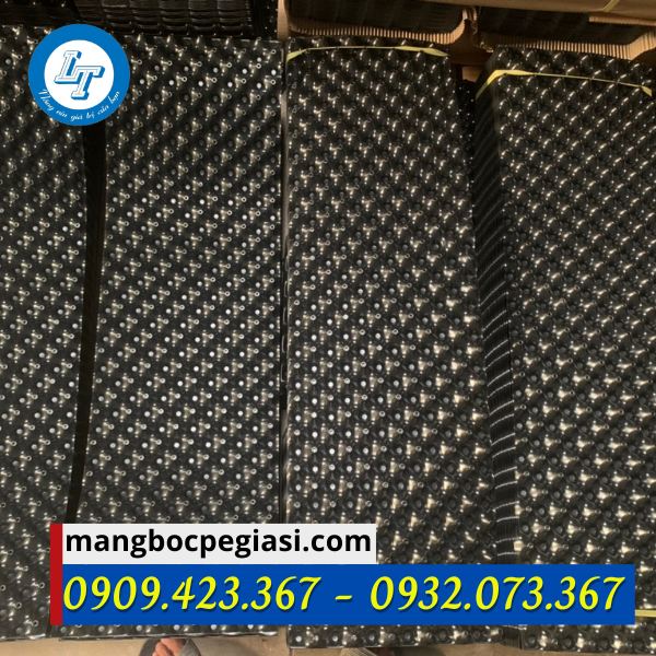 Bầu ươm giá sỉ rẻ Bầu ươm giá sỉ rẻ