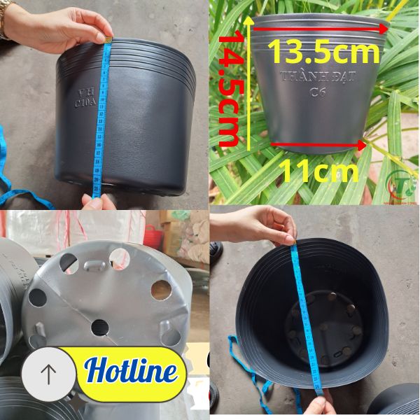 các loại chậu nhựa trồng cây hoa các loại chậu nhựa trồng cây hoa