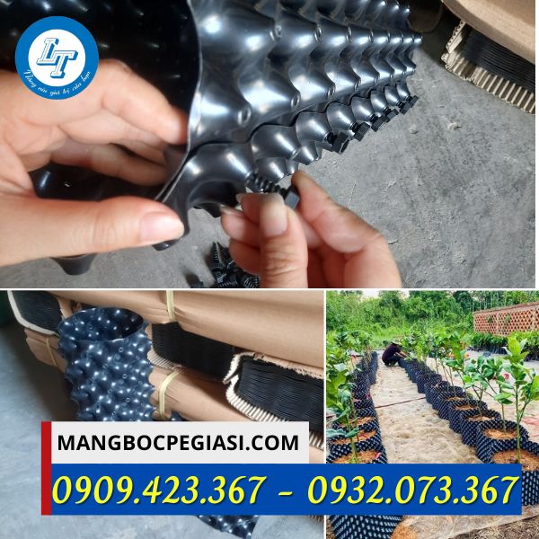 Cách lắp ráp bầu ươm Cách lắp ráp bầu ươm