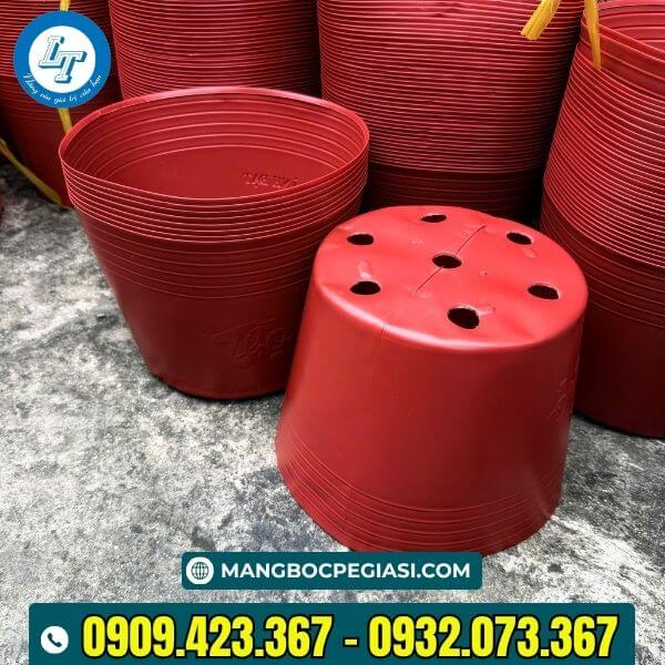 Chậu nhưạ C9 đục lỗ thoát nước tốt Chậu nhưạ C9 đục lỗ thoát nước tốt