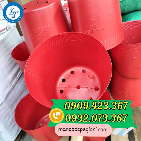 Chậu nhựa trồng cây C12 giá rẻ Chậu nhựa trồng cây C12