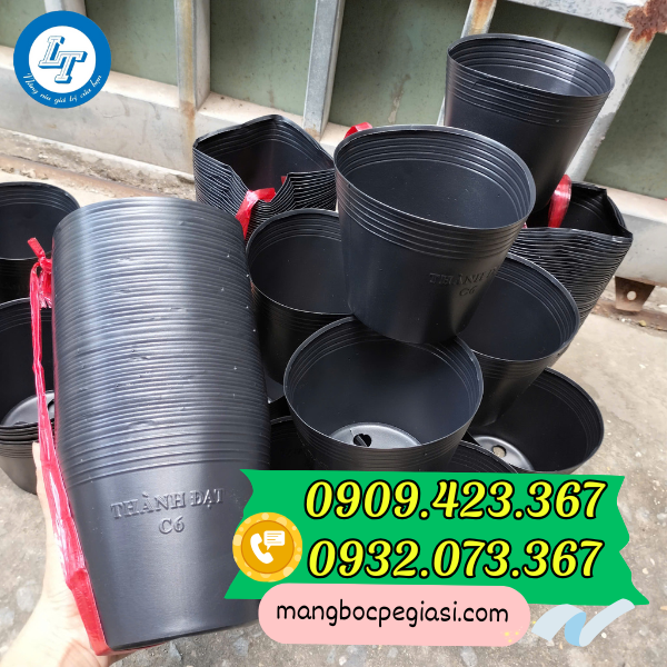 Đáy chậu đục lỗ thoát nước tốt Đáy chậu đục lỗ thoát nước tốt