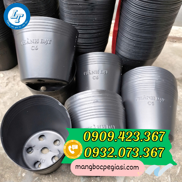 Chậu nhựa trồng cây c6 Chậu nhựa trồng cây c6