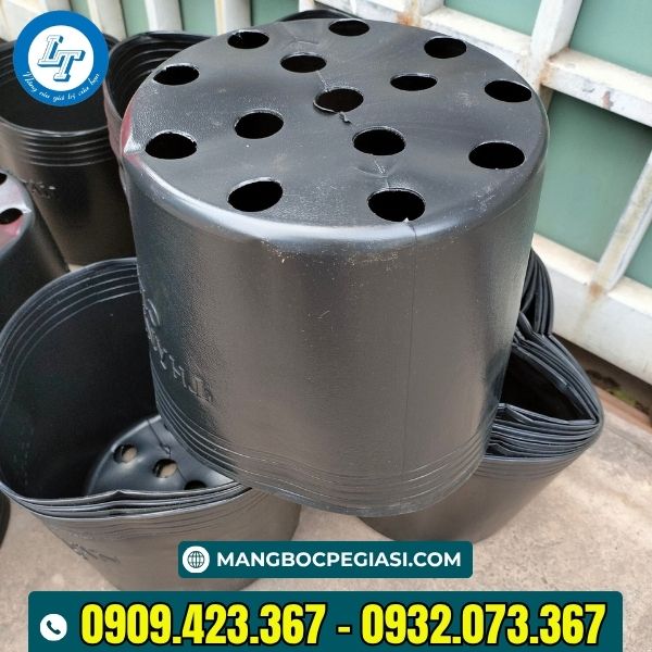 Chậu nhựa dẻo trồng cây đục lỗ ở đáy Chậu nhựa dẻo trồng cây