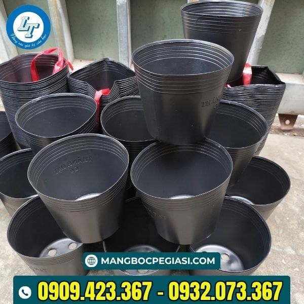 Chậu nhựa dẻo trồng cây c6 sẵn kho Chậu nhựa dẻo trồng cây