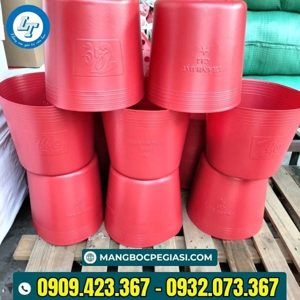 Chậu nhựa dẻo trồng cây hoa cúc đón tết Chậu nhựa dẻo trồng cây