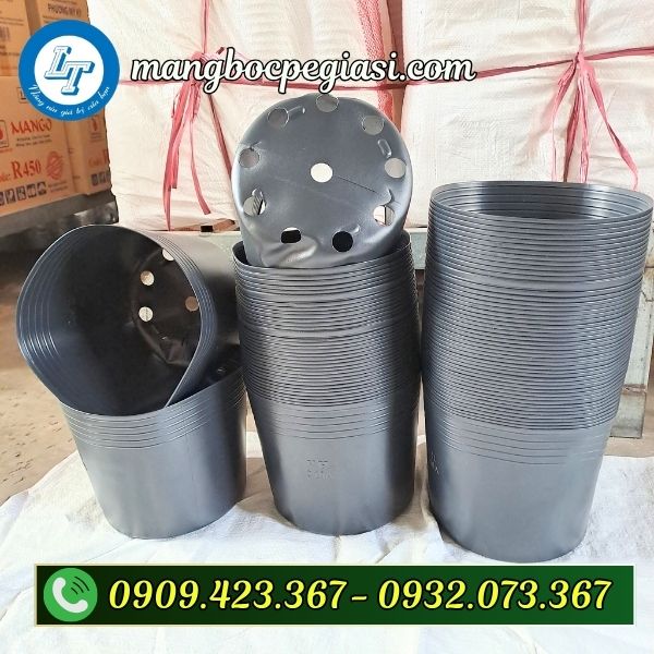 Chậu nhựa ươm cây giống phát triển khỏe mạnh