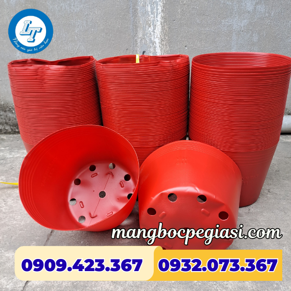 Chậu nhựa trồng cây Chậu nhựa trồng cây