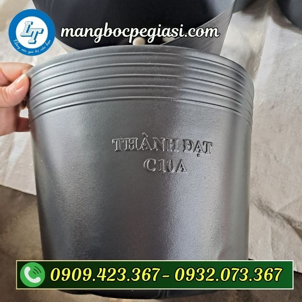 Chậu nhựa ươm cây giống phát triển khỏe mạnh Chậu nhựa ươm cây giống phát triển khỏe mạnh