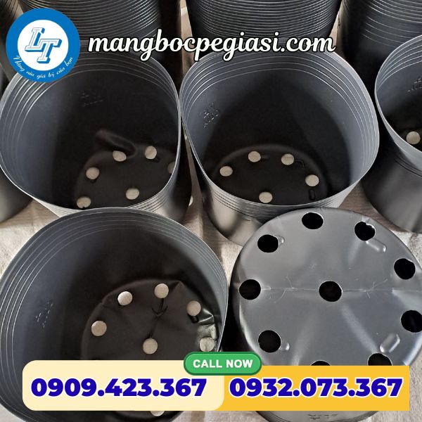 Chậu nhựa màu đen Chậu nhựa màu đen