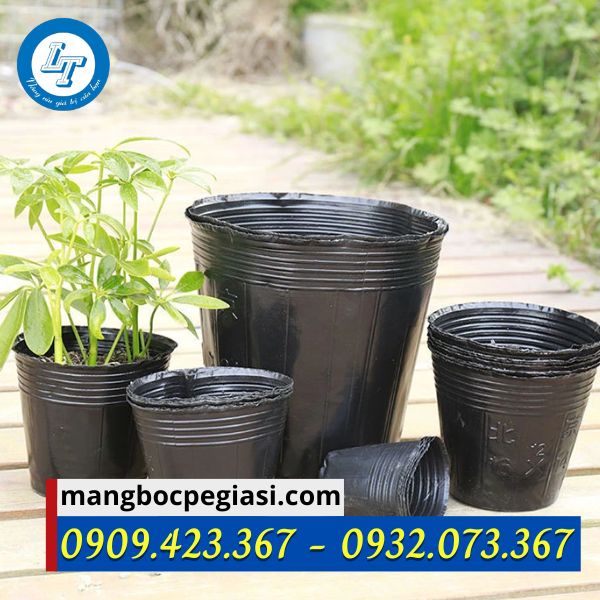 Chậu nhựa trồng cây nhiều kích cỡ Chậu nhựa trồng cây nhiều kích cỡ