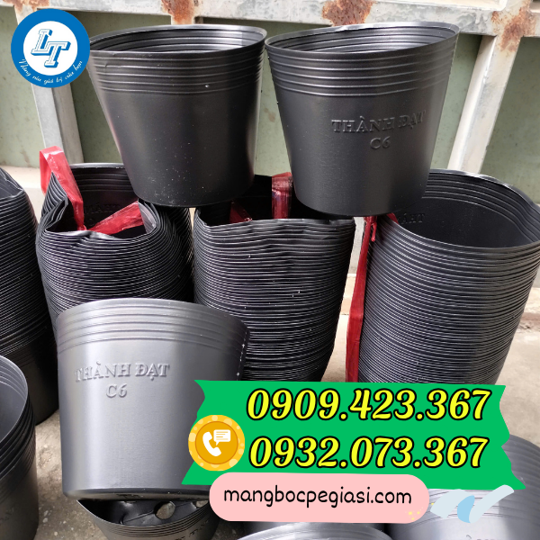 Chậu nhựa trồng cây c6 giá sỉ Chậu nhựa trồng cây c6