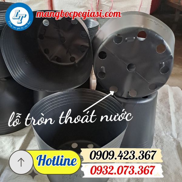 chậu nhựa trồng cây chất lượng nhất chậu nhựa trồng cây chất lượng nhất