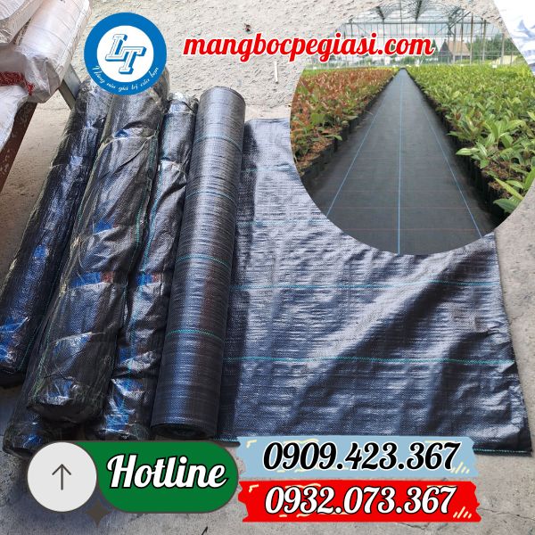 công dụng và kích thước bạt phủ chống cỏ công dụng và kích thước bạt phủ chống cỏ
