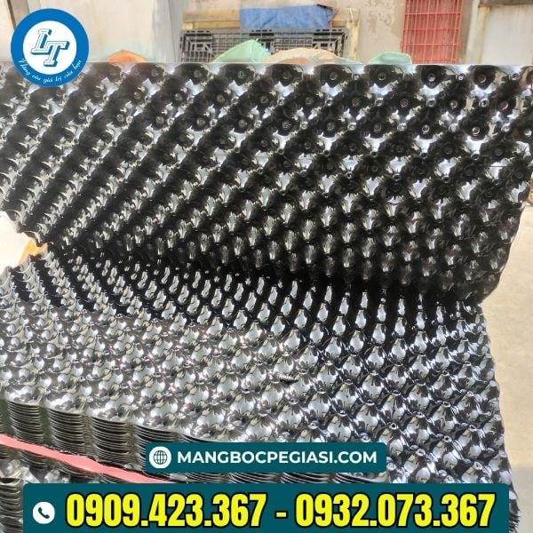 Tổng kho bầu ươm giá sỉ Tổng kho bầu ươm giá sỉ