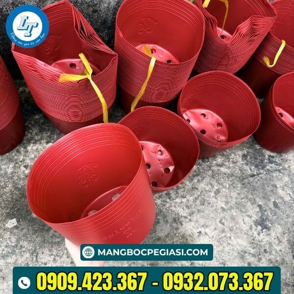 Chậu nhưạ C9 màu đỏ đẹp xếp chồng gọn gàng Chậu nhưạ C9 màu đỏ đẹp