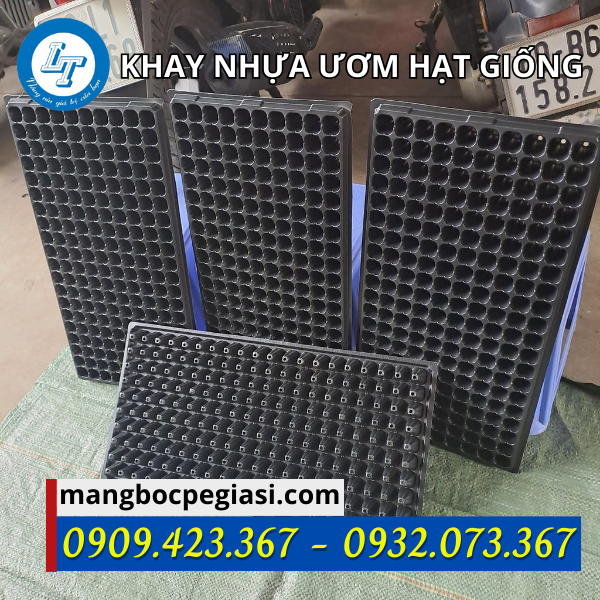 Khay ươm hạt giống giá rẻ Khay ươm hạt giống