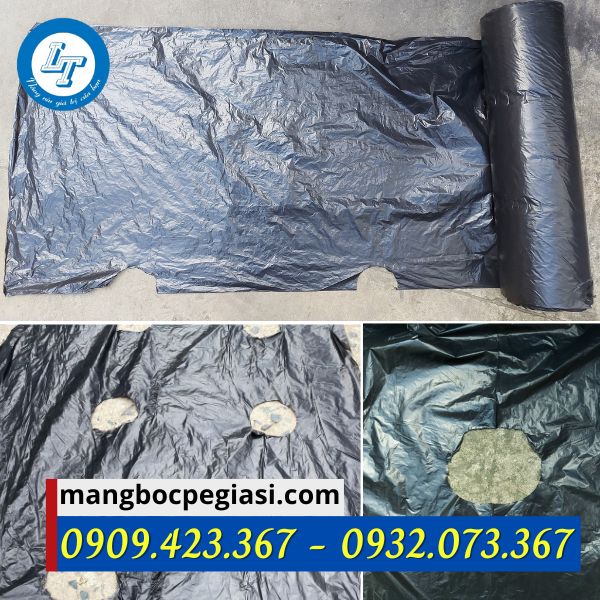 Màng phủ nông nghiệp đục lỗ giá rẻ Màng phủ nông nghiệp đục lỗ giá rẻ