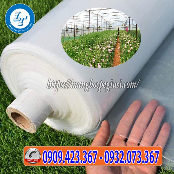 cuộn nilon nhà kính nhập khẩu cuộn nilon nhà kính nhập khẩu