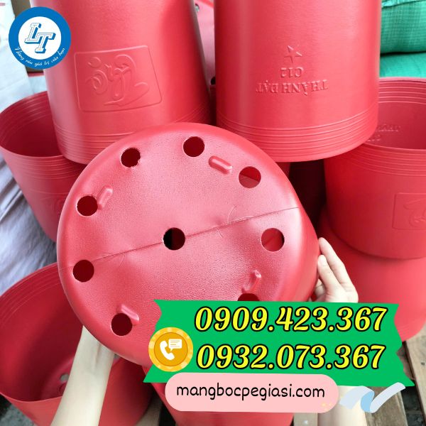 Đáy chậu đục lỗ thoát nước tốt Chậu nhựa trồng cây C12