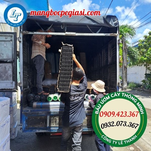 giao bầu ươm thông minh giá sỉ rẻ giao bầu ươm thông minh giá sỉ rẻ