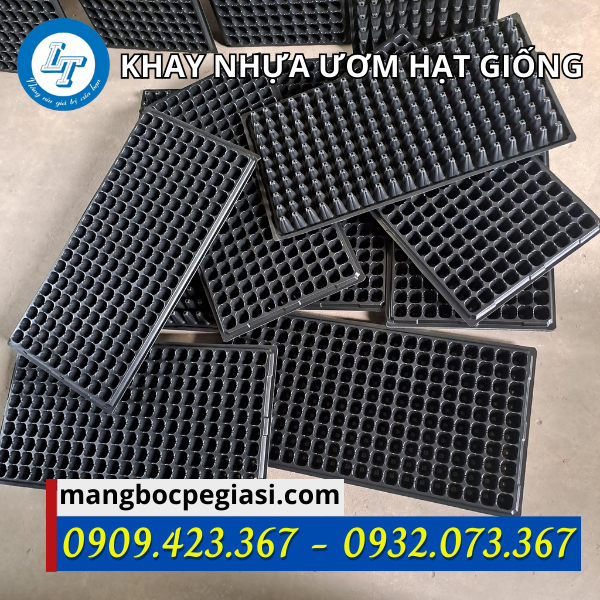 Khay ươm hạt giống 200 lỗ Khay ươm hạt giống 200 lỗ