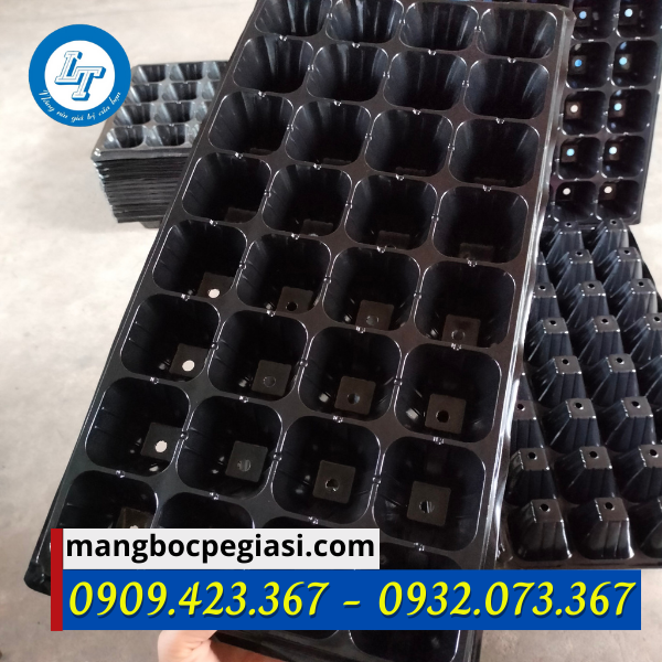 Khay ươm hạt giống lỗ vuông Khay ươm hạt giống lỗ vuông