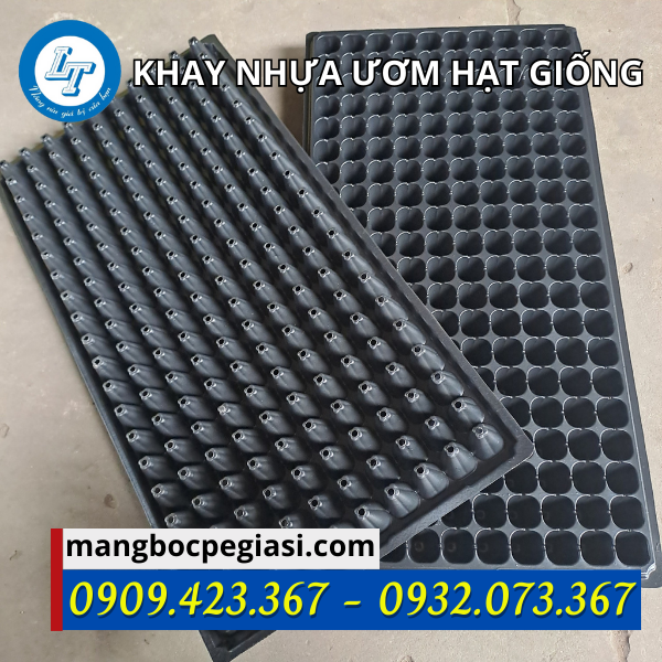 Khay ươm hạt giống 200 lỗ Khay ươm hạt giống 200 lỗ