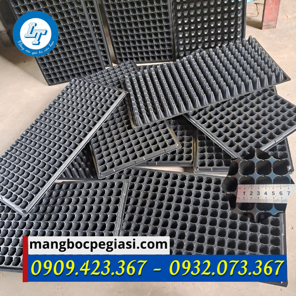 Khay ươm hạt giống