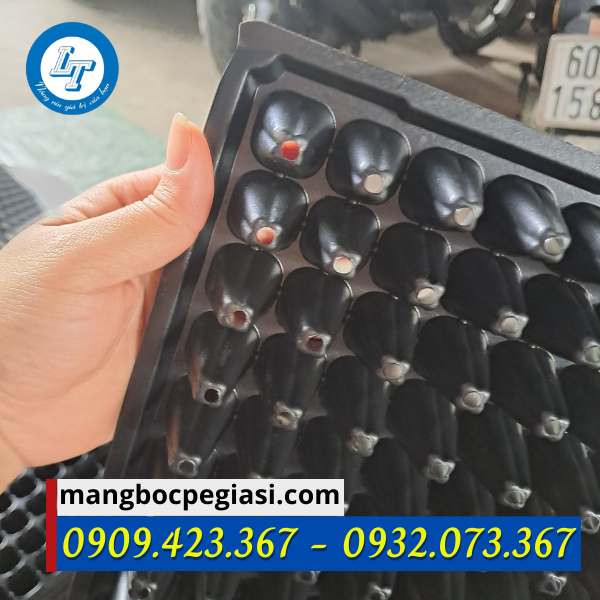Khay ươm hạt có đục lỗ thoát nước Khay ươm hạt có đục lỗ thoát nước