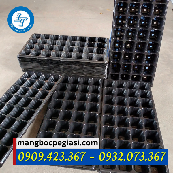 Khay ươm hạt giống lỗ vuông Khay ươm hạt giống lỗ vuông