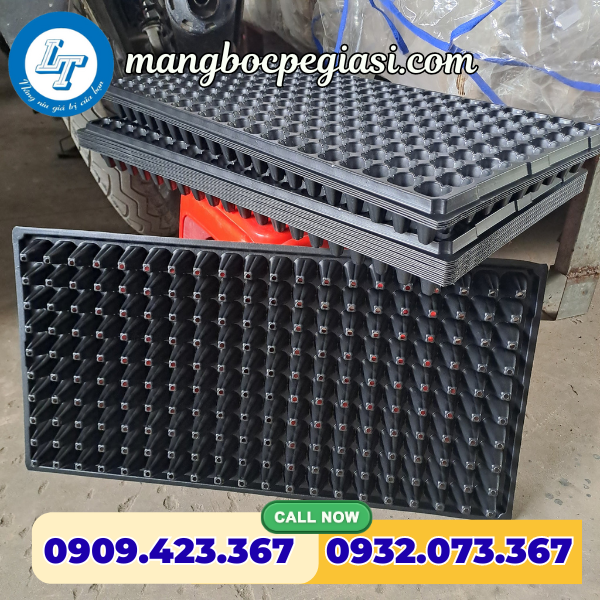 Khay ươm hạt giống 200 lỗ Khay ươm hạt giống 200 lỗ