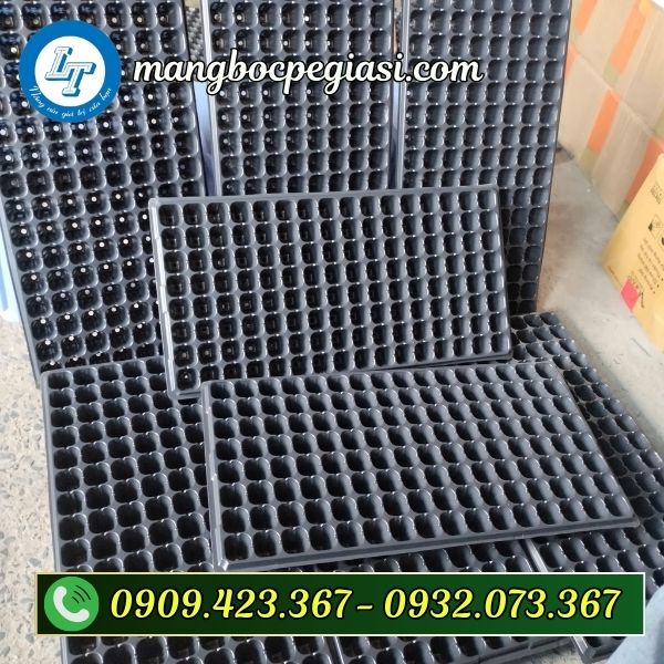 Khay ươm hạt giống 200 lỗ Khay ươm hạt giống 200 lỗ