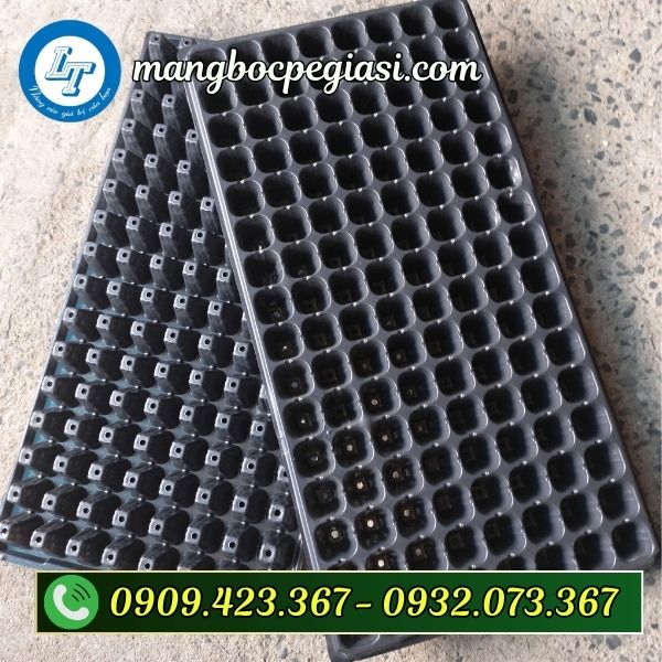 Khay ươm hạt giống 200 lỗ