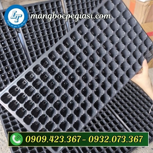 Khay ươm hạt giống 200 lỗ