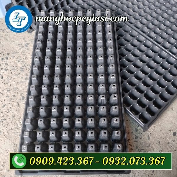 Khay ươm hạt giống 200 lỗ Khay ươm hạt giống 200 lỗ