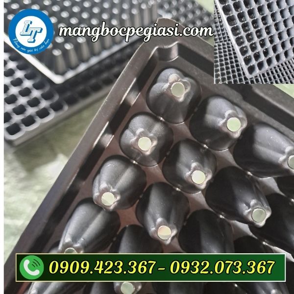 Khay ươm hạt giống 200 lỗ Khay ươm hạt giống 200 lỗ