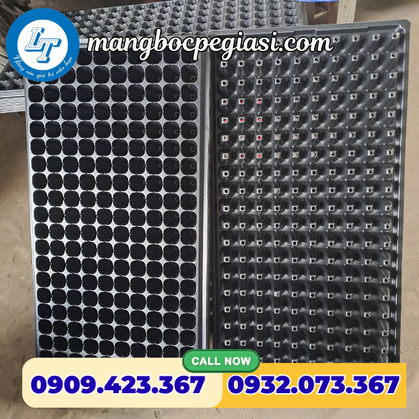 Khay ươm hạt giống 200 lỗ Khay ươm hạt giống