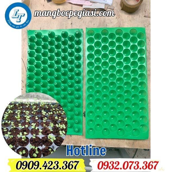 khay ươ hạt giồng nhựa dẻo giá sỉ rẻ tại xưởng khay ươ hạt giồng nhựa dẻo giá sỉ rẻ tại xưởng