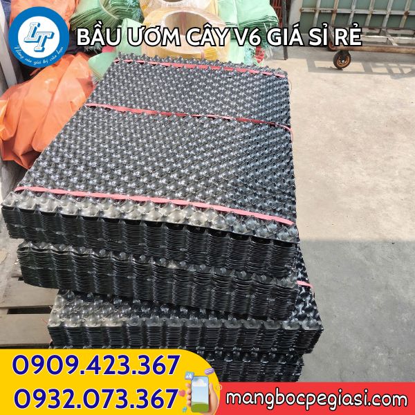Bầu ươm cây V6 giá sỉ rẻ hcm Bầu ươm cây V6