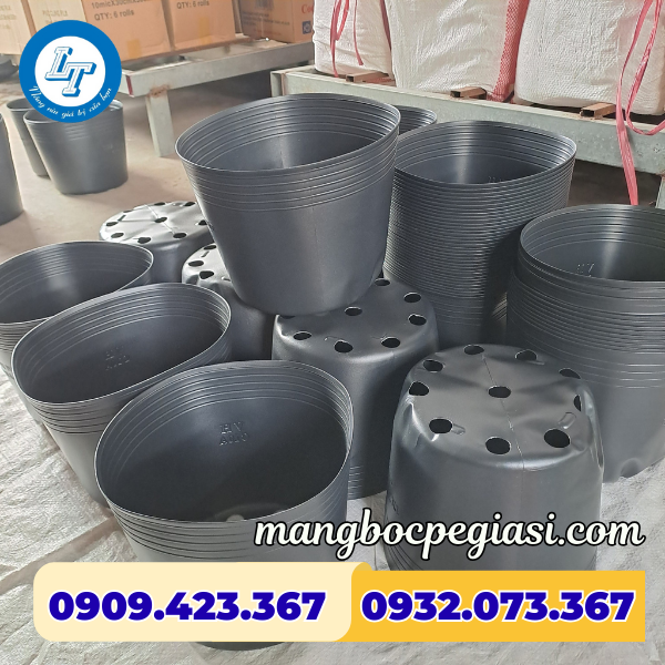Chậu nhựa trồng cây Chậu nhựa trồng cây