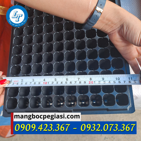 Khay ươm hạt 200 lỗ Kích cỡ khay ươm hạt