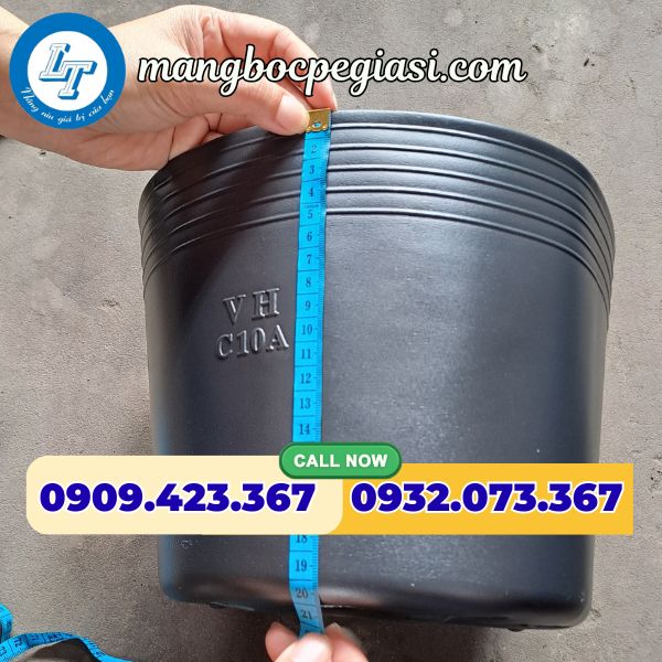 Chậu nhựa C10 Chậu nhựa C10