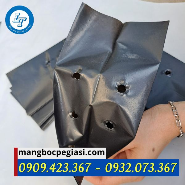 nơi bán sỉ túi ươm cây rẻ nhất hiện nay nơi bán sỉ túi ươm cây rẻ nhất hiện nay