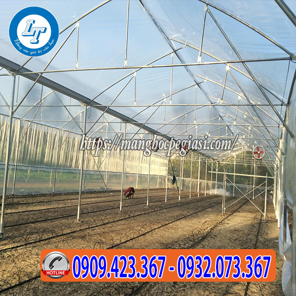 Lợp nhà kính trồng rau Lợp nhà kính trồng rau
