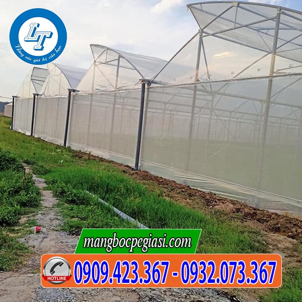 Màng nilon nhà kính israel chất lượng Màng nilon nhà kính israel chất lượng