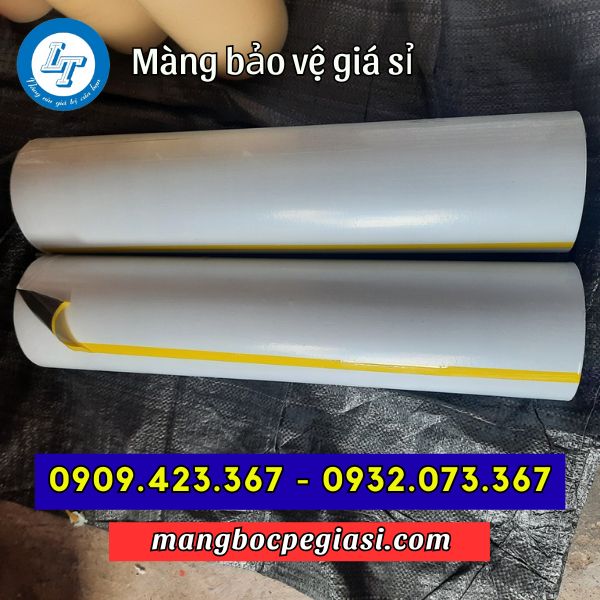 Màng chống trầy cắt kích cỡ theo yêu cầu Màng chống trầy cắt kích cỡ theo yêu cầu
