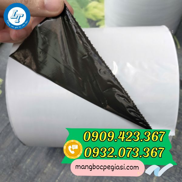 Màng bảo vệ bề mặt nhôm Màng bảo vệ bề mặt nhôm