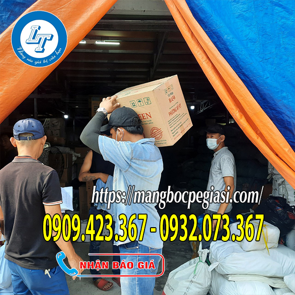 Màng bọc thực phẩm xuất kho Màng bọc thực phẩm xuất kho